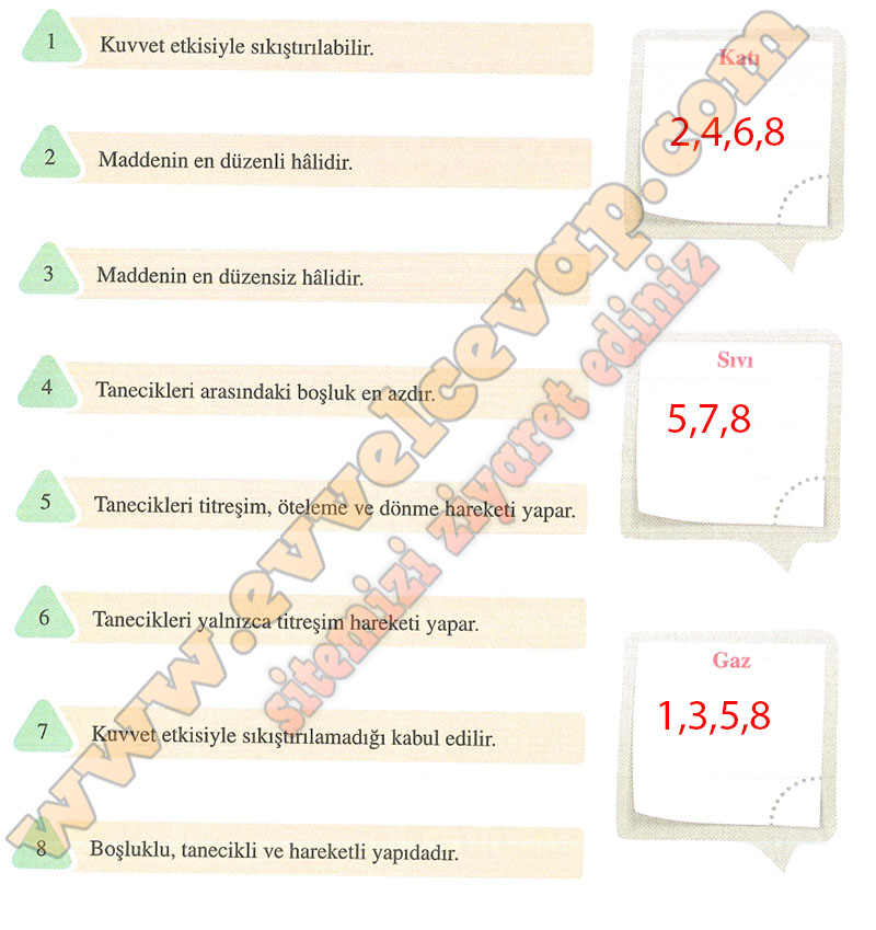 6 Sınıf Fen Bilimleri Ders Kitabı Cevapları Adım Adım Matbaa