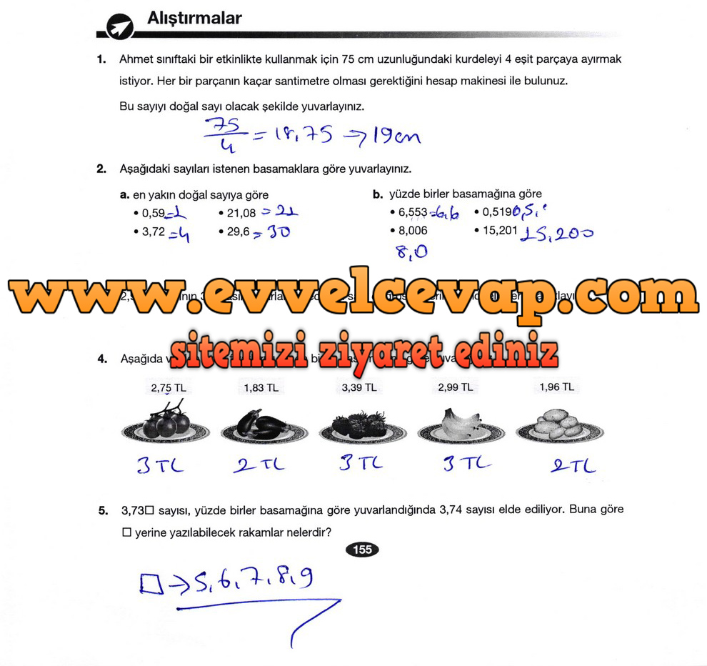 6. Sınıf Berkay Yayıncılık Matematik Ders Kitabı Sayfa 155 Cevabı