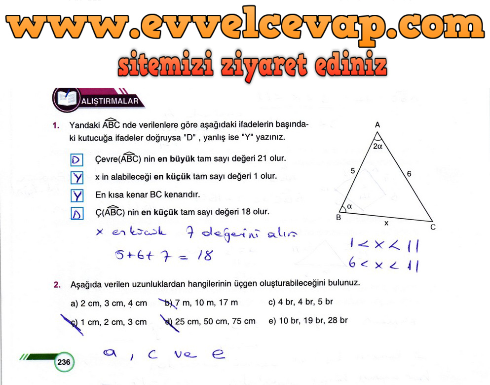9. Sınıf Matematik Ders Kitabı Sayfa 236 Cevabı Ödev Yayınları