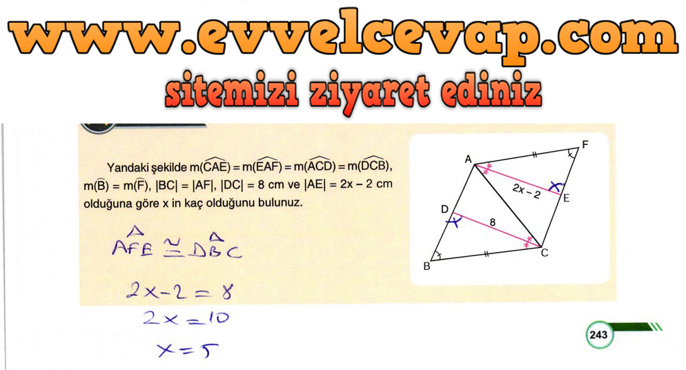 9. Sınıf Matematik Ders Kitabı Sayfa 243 Cevabı Ödev Yayınları