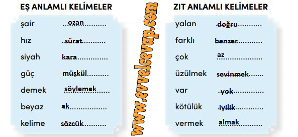 4. Sınıf Türkçe Ders Kitabı Meb Yayınları Sayfa 249 Cevabı