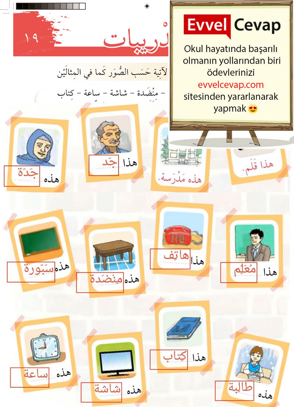 6. Sınıf Arapça Ders ve Çalışma Kitabı Sayfa 19 Cevapları Meb Yayınları