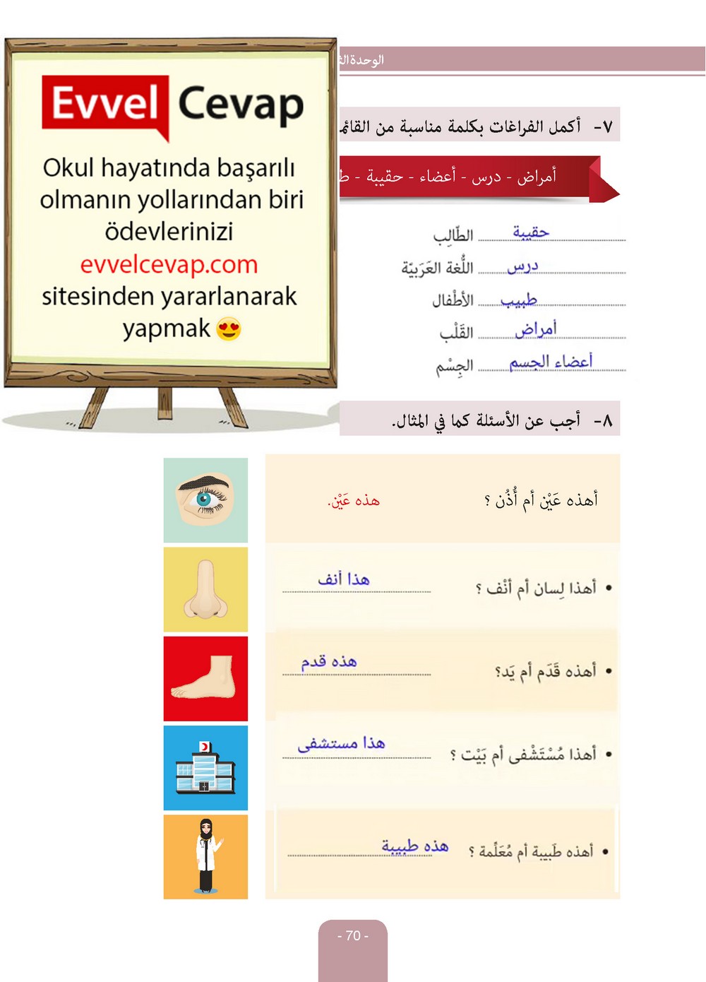 6. Sınıf Arapça Ders ve Çalışma Kitabı Sayfa 70 Cevapları Evrensel İletişim Yayınları