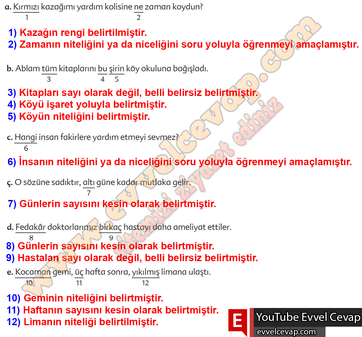 6. sınıf Ekoyay Yayınları Türkçe Ders Kitabı Cevapları Sayfa 98