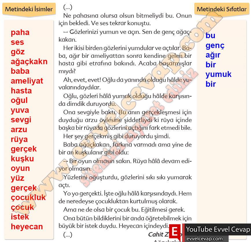 6. sınıf Ekoyay Yayınları Türkçe Ders Kitabı Cevapları Sayfa 99