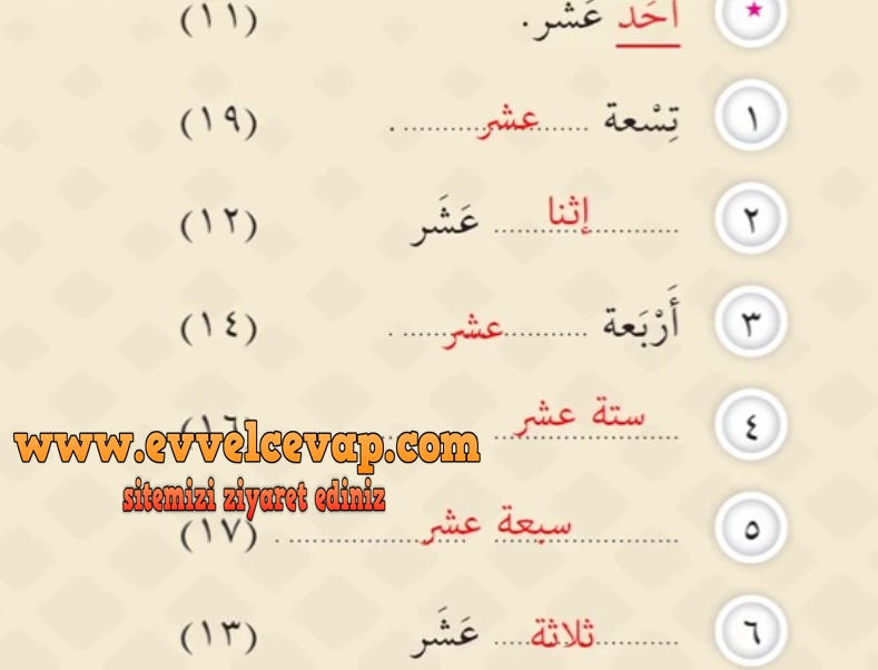 7. Sınıf Meb Yayınları Arapça Ders ve Çalışma Kitabı Sayfa 47 Cevabı