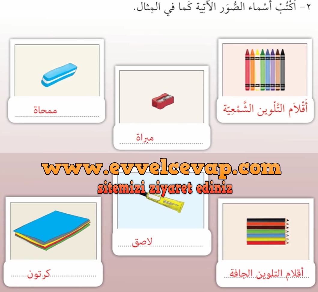7. Sınıf Meb Yayınları Arapça Ders ve Çalışma Kitabı Sayfa 57 Cevabı