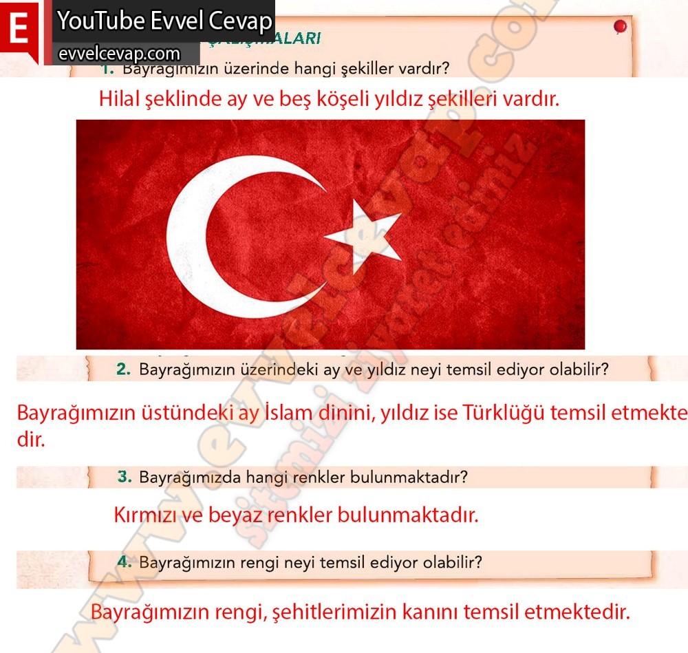 3. Sınıf Sonuç Yayınları Türkçe Ders Kitabı Cevapları Sayfa 116