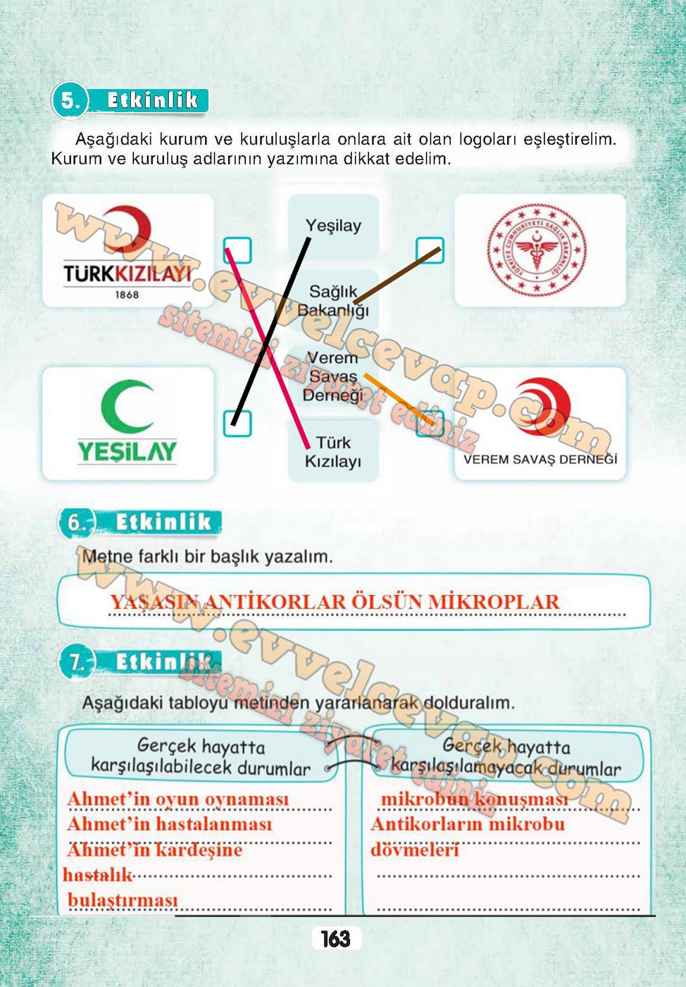 3. Sınıf Sonuç Yayınları Türkçe Ders Kitabı Cevapları Sayfa 163