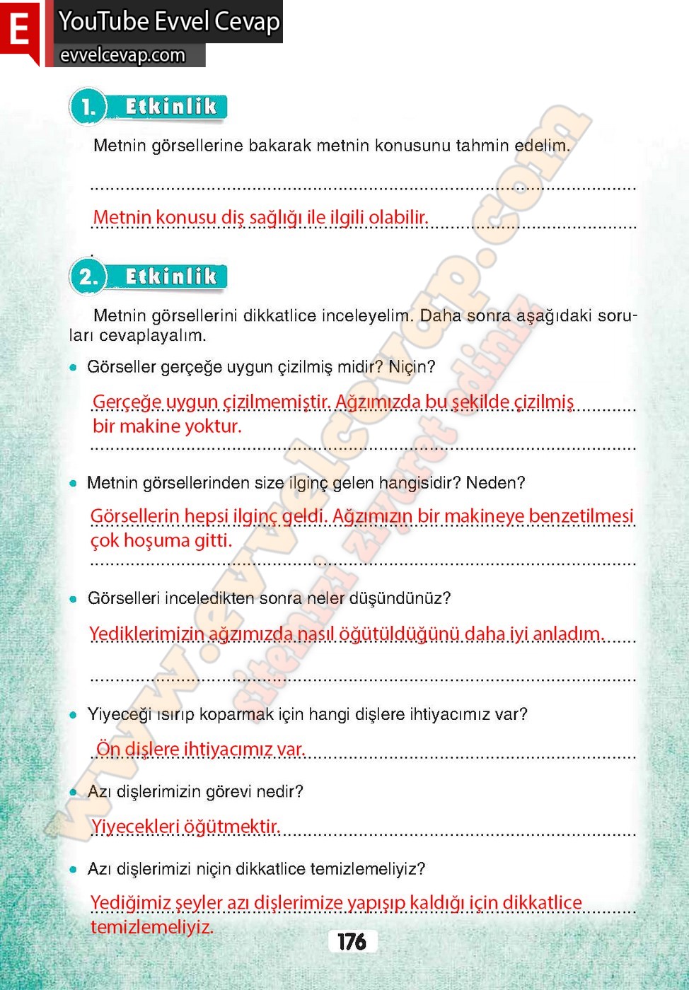 3. Sınıf Sonuç Yayınları Türkçe Ders Kitabı Cevapları Sayfa 176