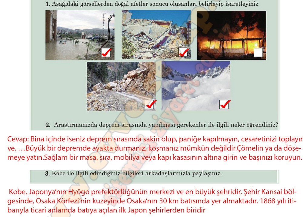 5. sınıf Anıttepe Yayıncılık Türkçe Ders Kitabı Cevapları Sayfa 85