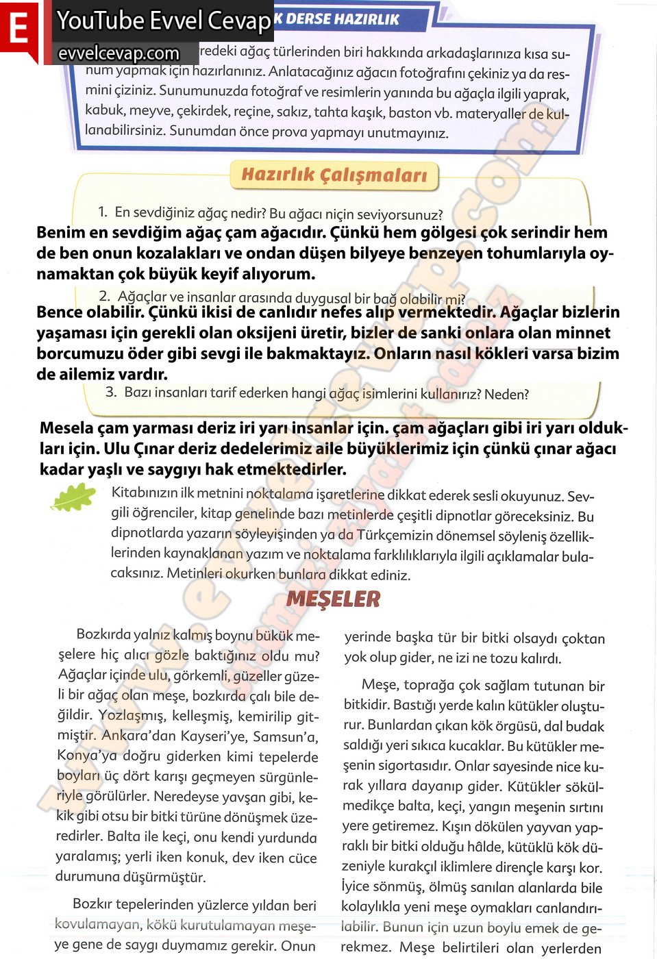 6. sınıf Ekoyay Yayınları Türkçe Ders Kitabı Cevapları Sayfa 10