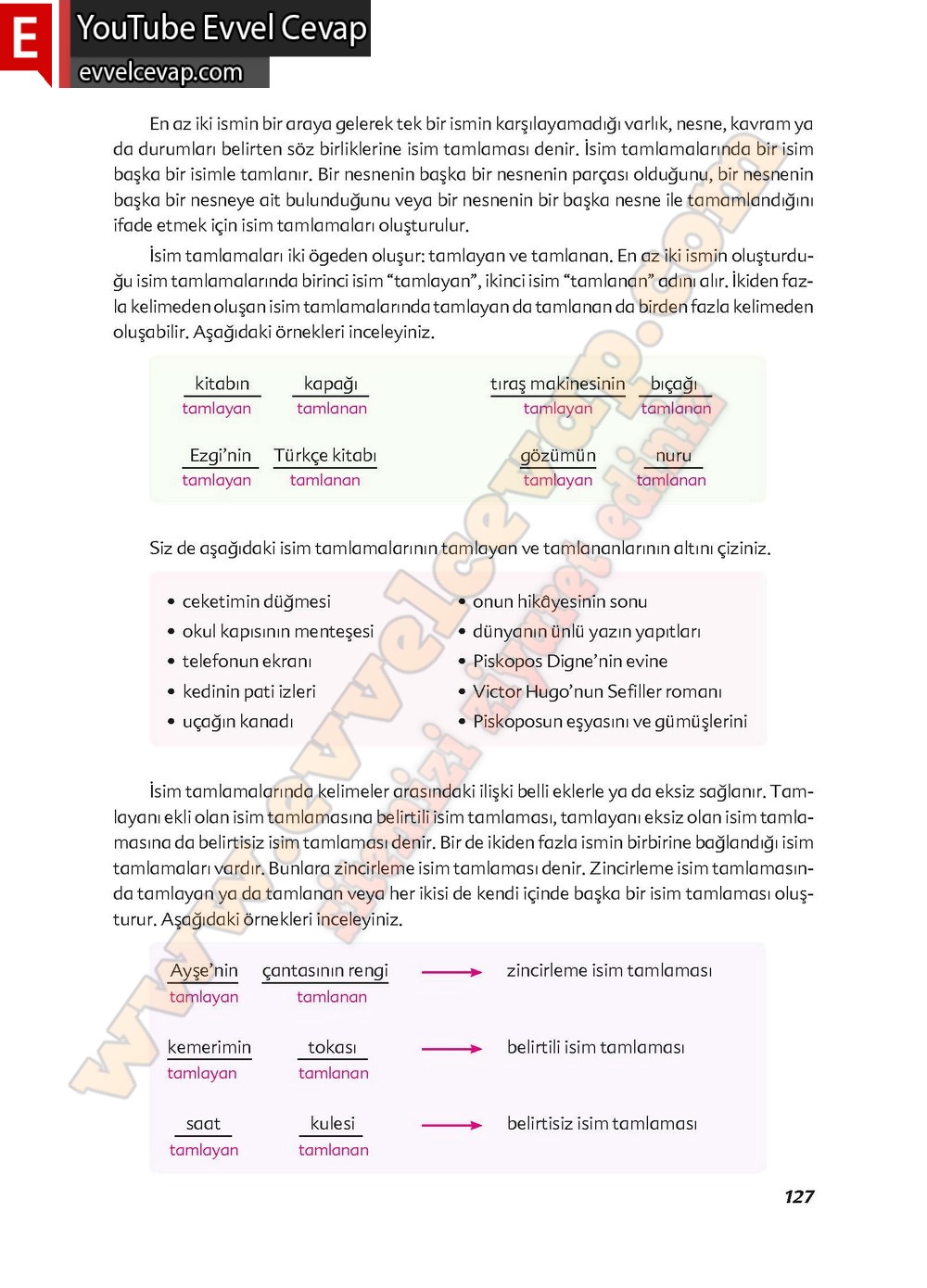 6. sınıf Ekoyay Yayınları Türkçe Ders Kitabı Cevapları Sayfa 127