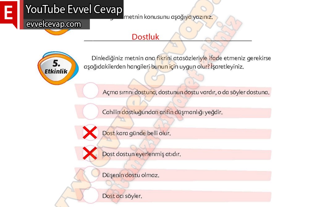 6. sınıf Ekoyay Yayınları Türkçe Ders Kitabı Cevapları Sayfa 135