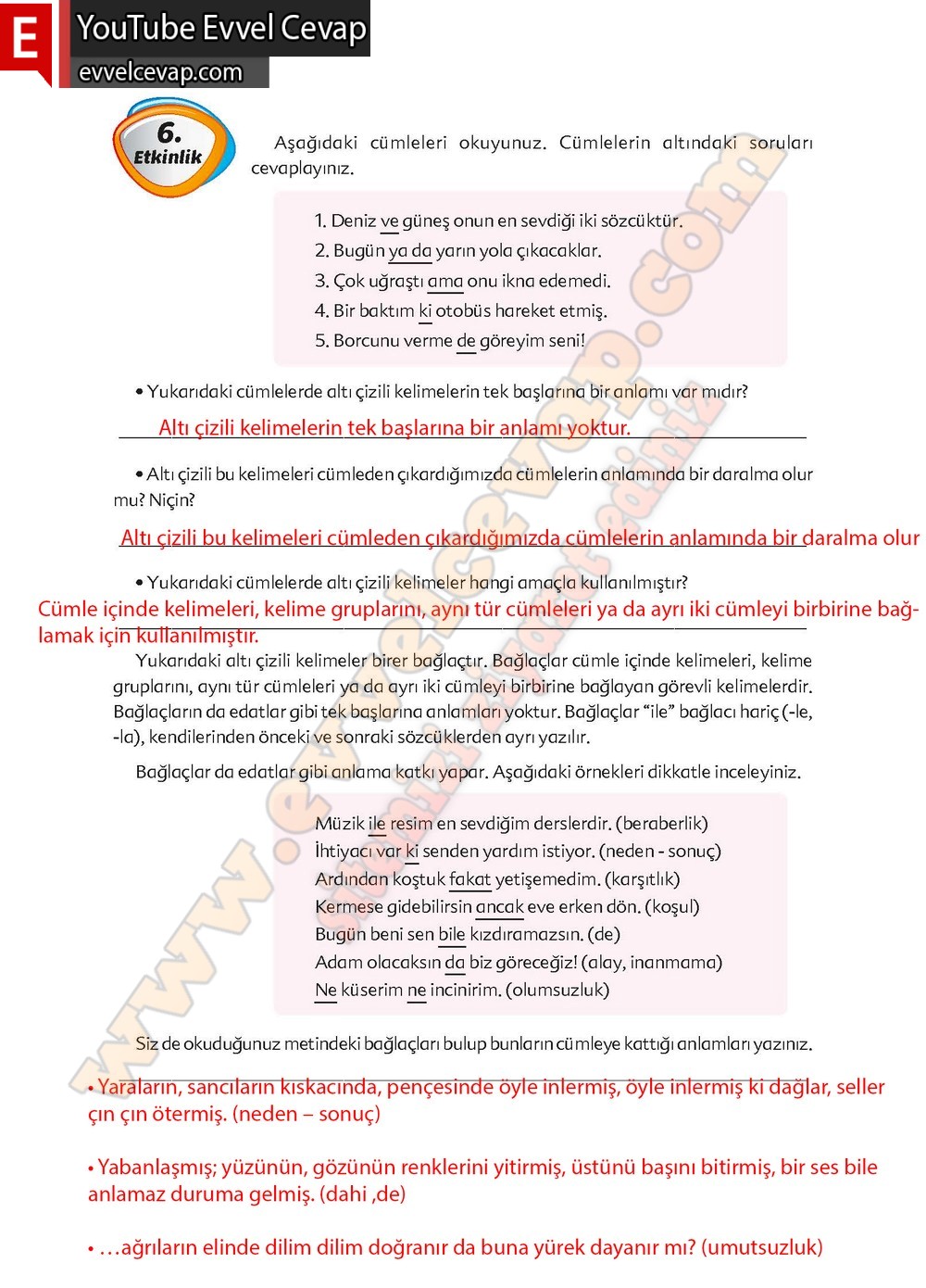 6. sınıf Ekoyay Yayınları Türkçe Ders Kitabı Cevapları Sayfa 149