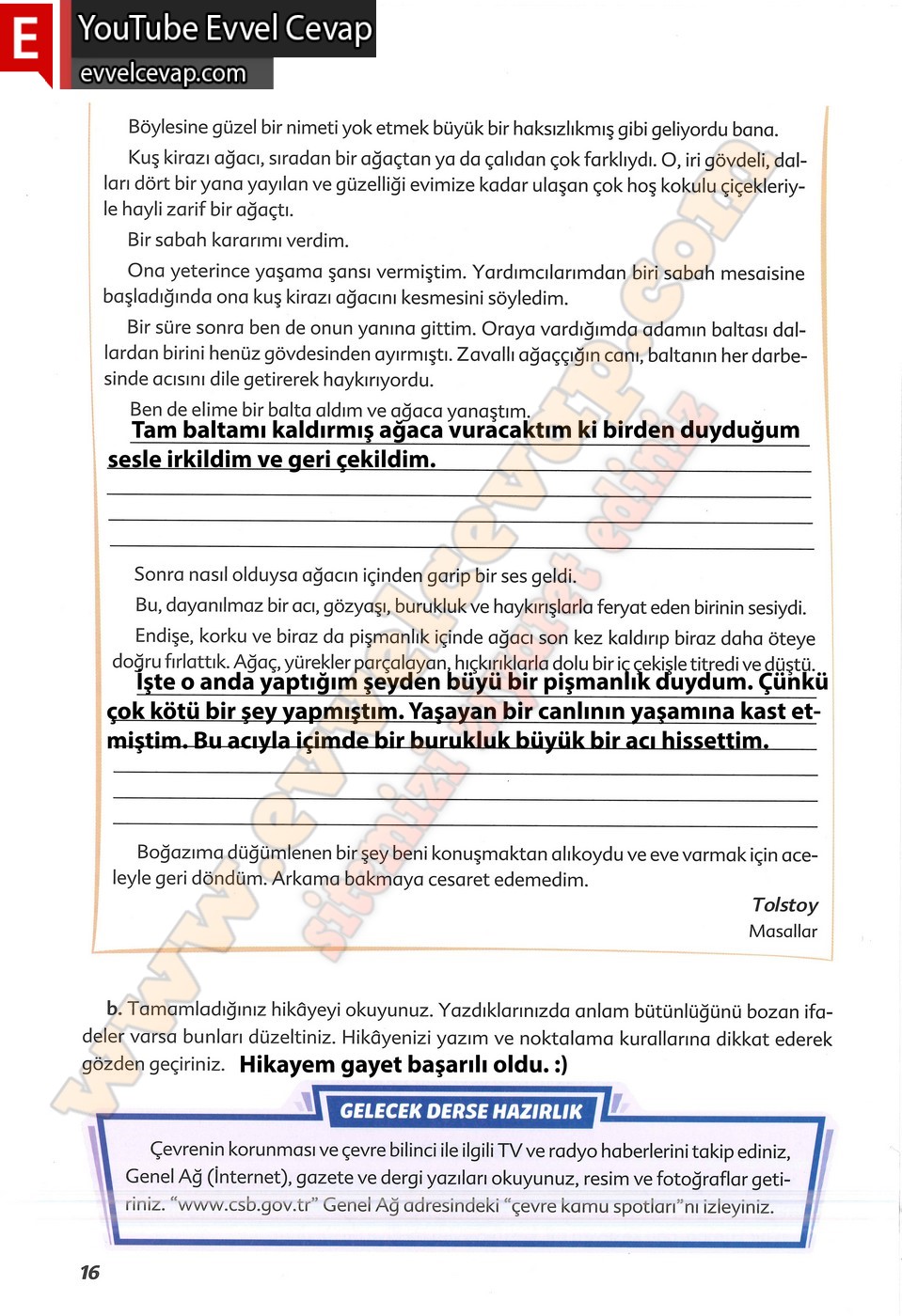 6. sınıf Ekoyay Yayınları Türkçe Ders Kitabı Cevapları Sayfa 16