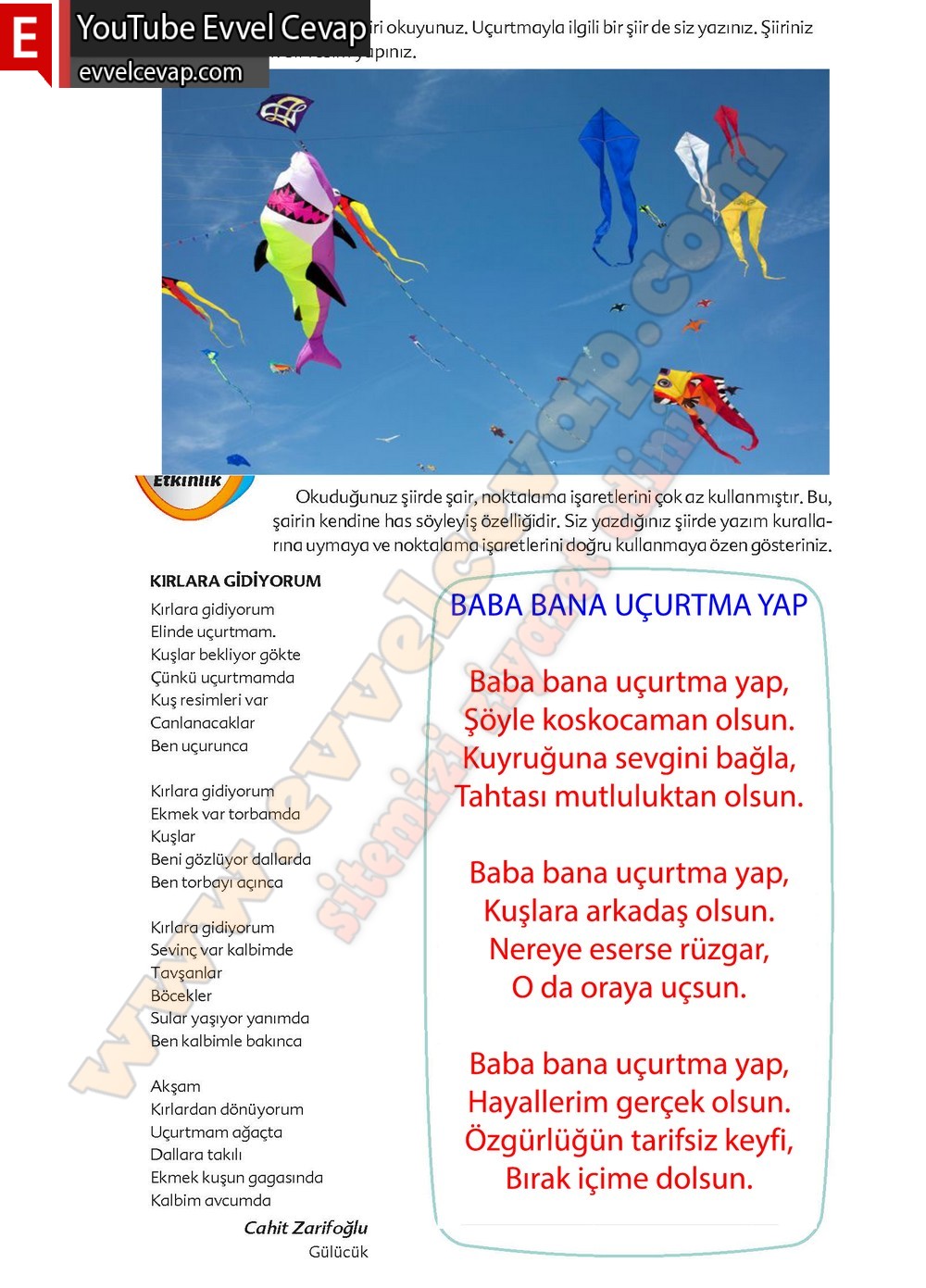 6. sınıf Ekoyay Yayınları Türkçe Ders Kitabı Cevapları Sayfa 82