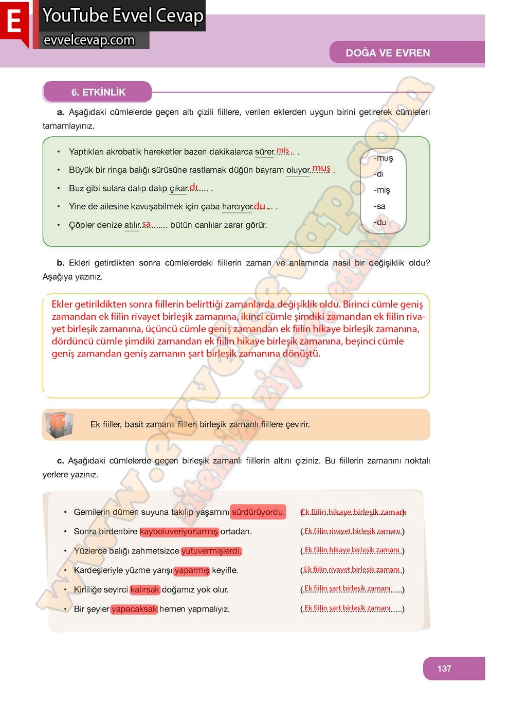 7. Sınıf Özgün Yayınları Türkçe Ders Kitabı Cevapları Sayfa 137