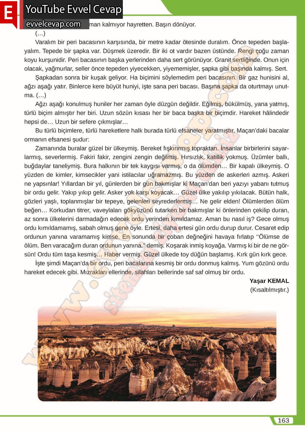8. sınıf Meb Yayınları Türkçe Ders Kitabı Cevapları Sayfa 163