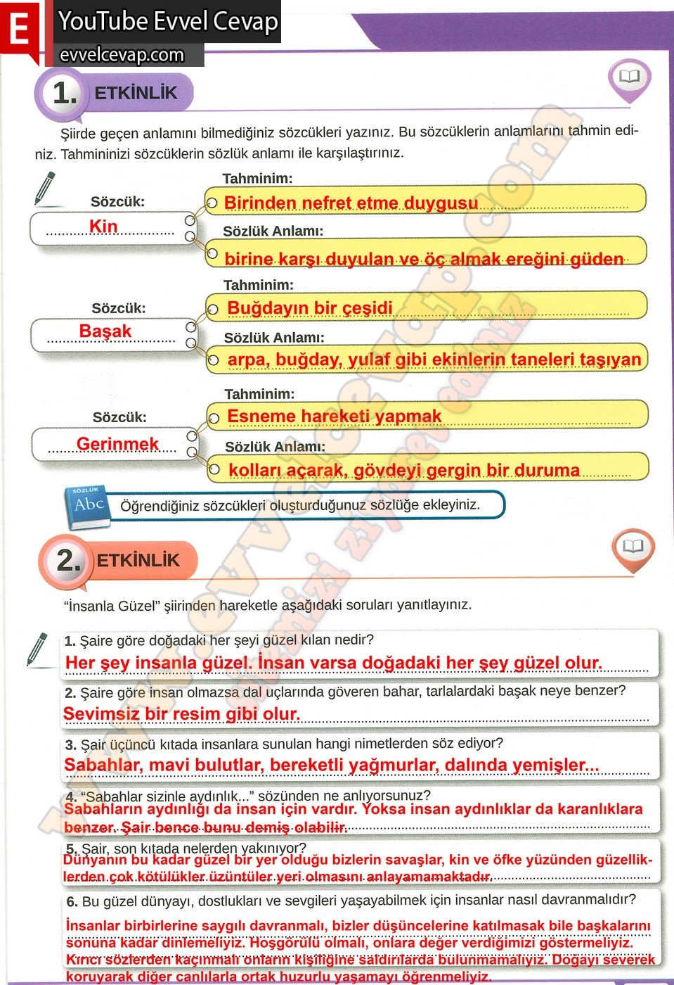 8. sınıf Meb Yayınları Türkçe Ders Kitabı Cevapları Sayfa 29
