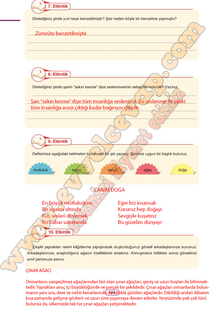 6-sinif-turkce-ders-kitabi-cevaplari-anka-yayinlari-sayfa-193