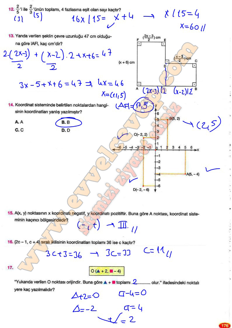 8-sinif-matematik-ders-kitabi-cevabi-berkay-yayinlari-sayfa-176