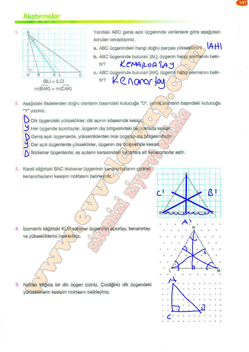 8-sinif-matematik-ders-kitabi-cevabi-berkay-yayinlari-sayfa-187