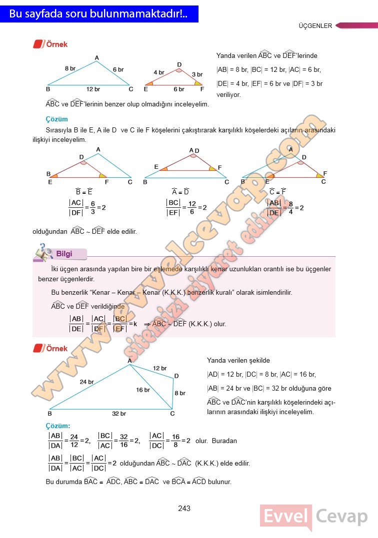 9-sinif-matematik-ders-kitabi-cevabi-ata-yayinlari-sayfa-243