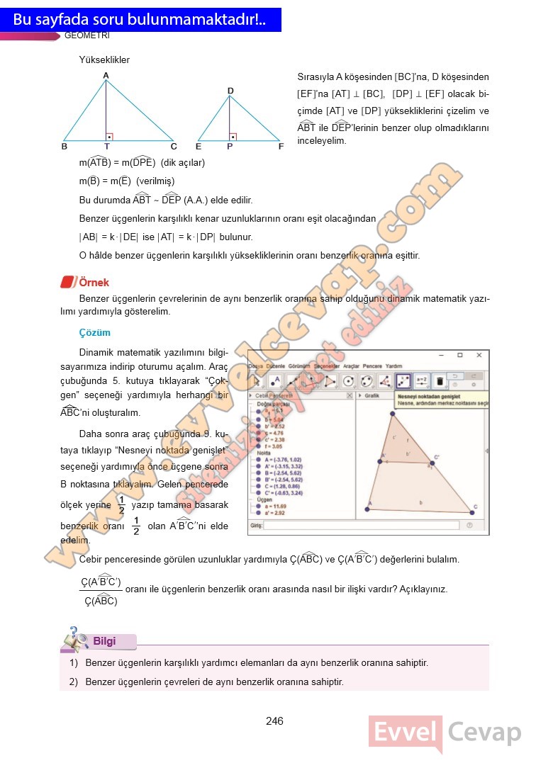 9-sinif-matematik-ders-kitabi-cevabi-ata-yayinlari-sayfa-246